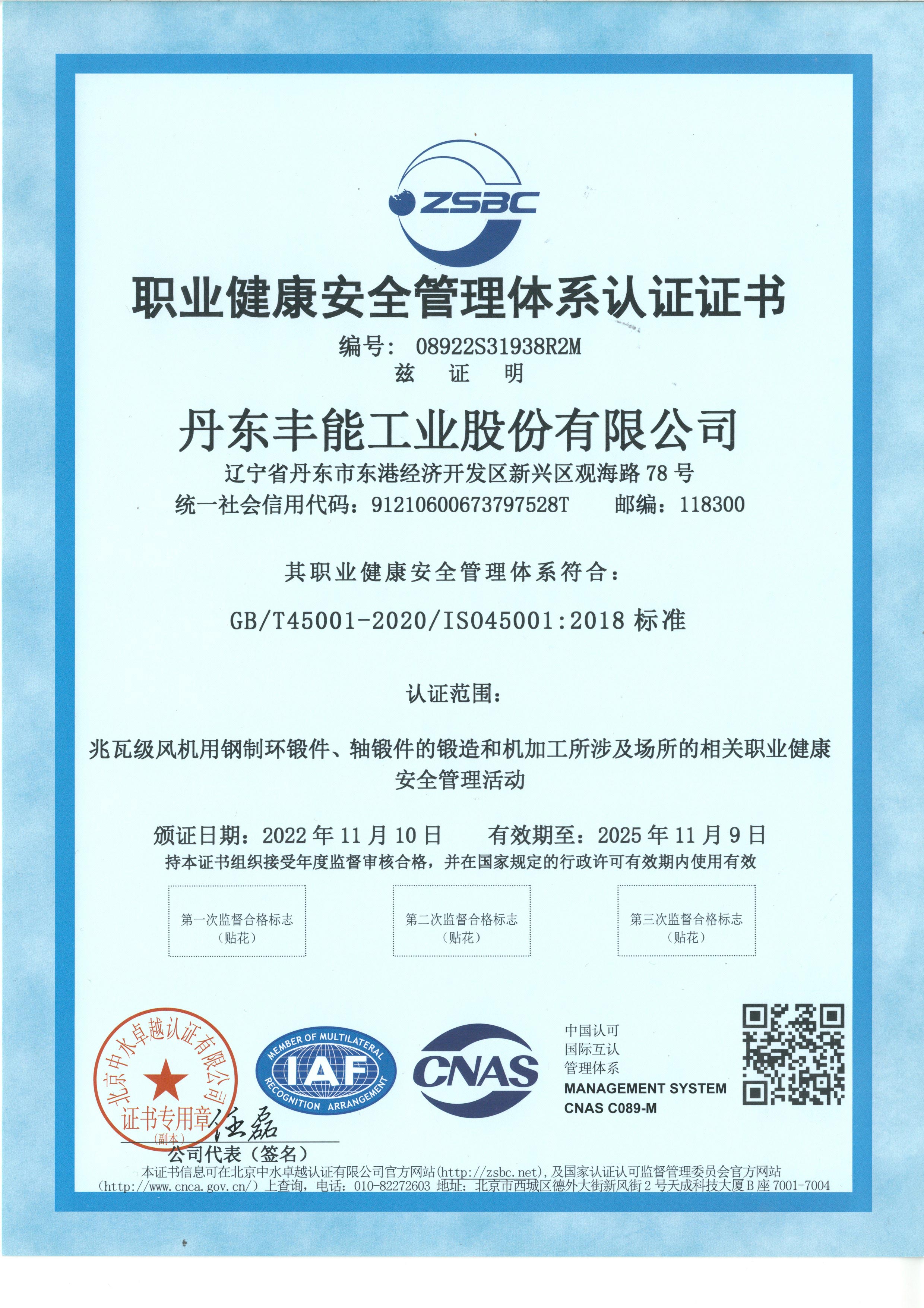 Occupational  health and safety management system